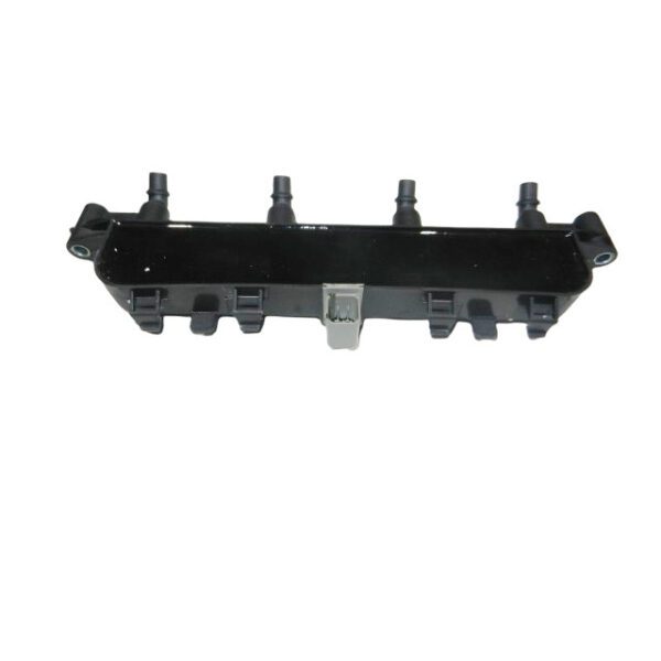 Peugeot 206 / Citroen C2 C3 ignition coil pack