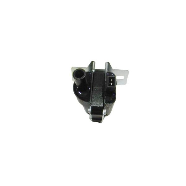 VW ignition coil 2 pin