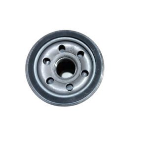 Datsun Go 1.2 HR12DE oil filter 2014 upwards
