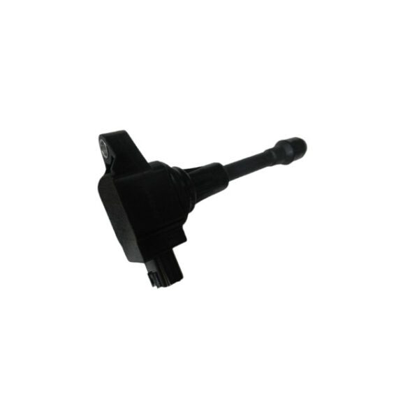 Renault Kwid 1.0 pencil coil from 2016 onwards